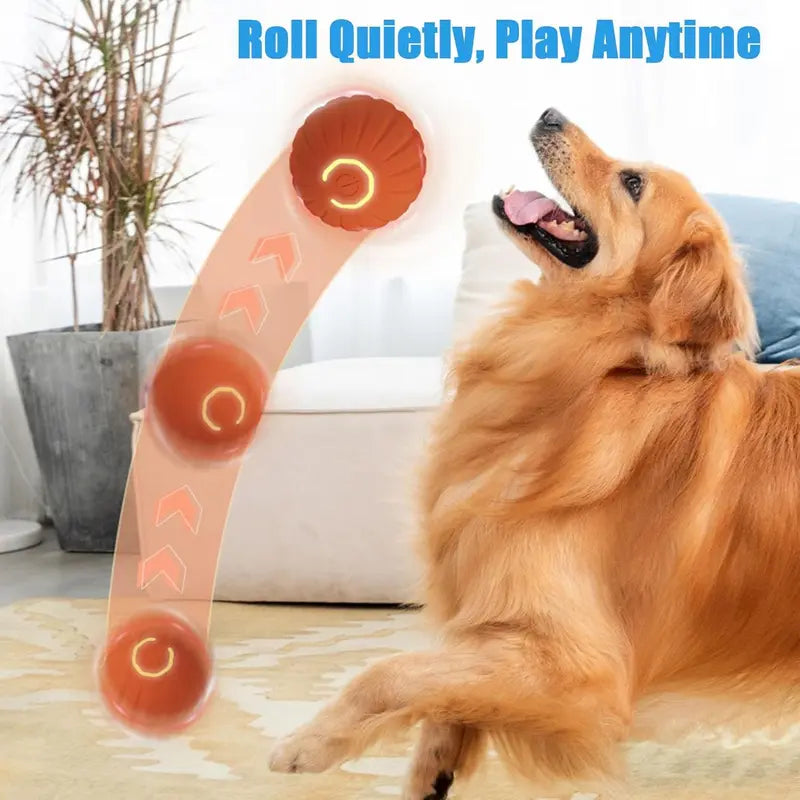 ⚡Crazy-Sale⚡69k-Sold⚡Shaky Ball Toy for Dogs, Interactive Dog Ball-A11